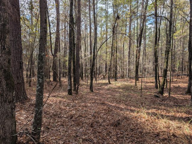3015 Timber Woods Drive, Appling, GA 30802