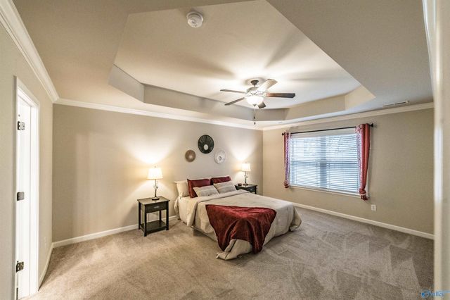 100 Beaver Brook Place, Toney, AL 35773