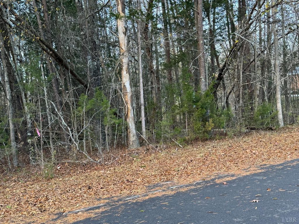 0 Creekwood Trail, Farmville, VA 23901
