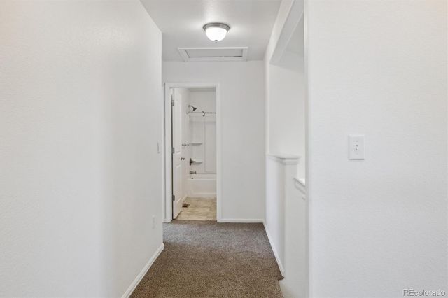 719 Elk Mountain Drive, Severance, CO 80550