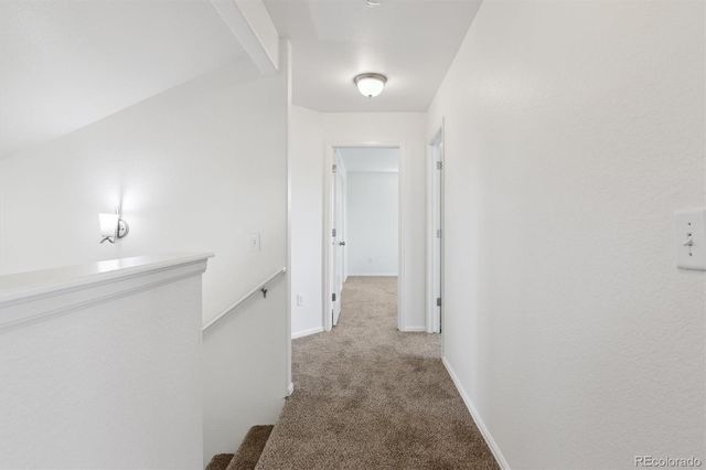 719 Elk Mountain Drive, Severance, CO 80550