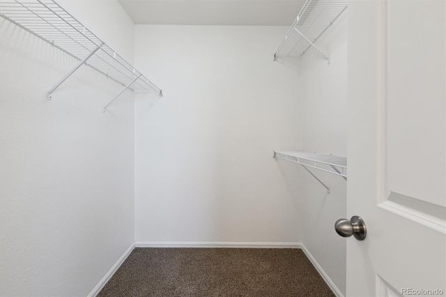 719 Elk Mountain Drive, Severance, CO 80550