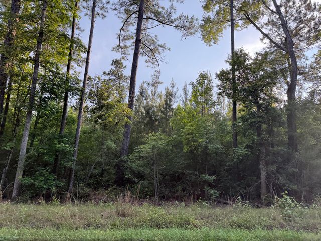 0 Bethera Road, Bonneau, SC 29431