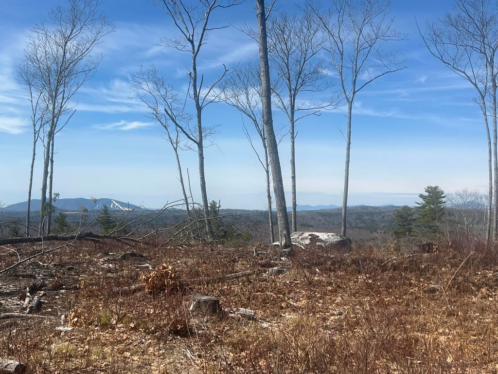 TBD Deer Hill Road, Harrison, ME 04040 — photo 2