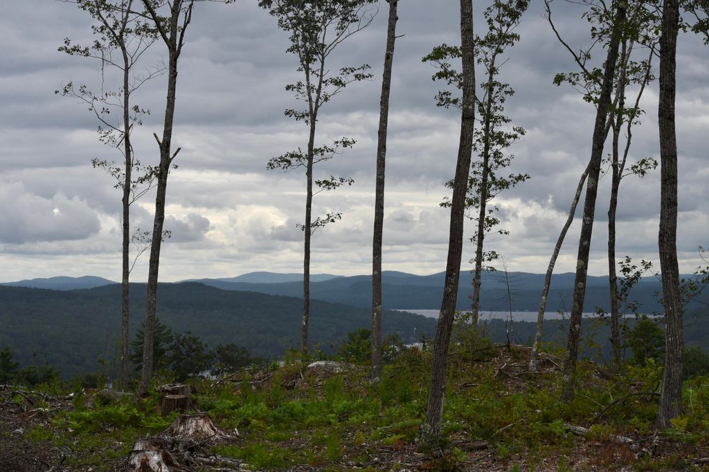 TBD Deer Hill Road, Harrison, ME 04040 — photo 3