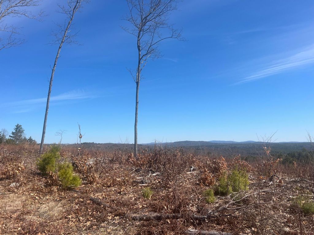 TBD Deer Hill Road, Harrison, ME 04040 — photo 4