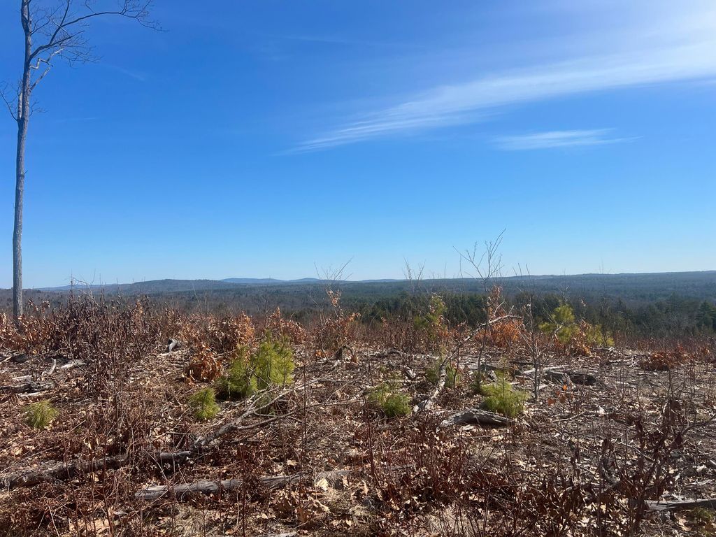 TBD Deer Hill Road, Harrison, ME 04040 — photo 5