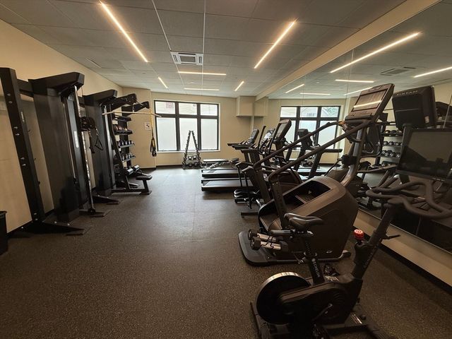 70 Leo M Birmingham Pkwy 409, Boston, MA 02135