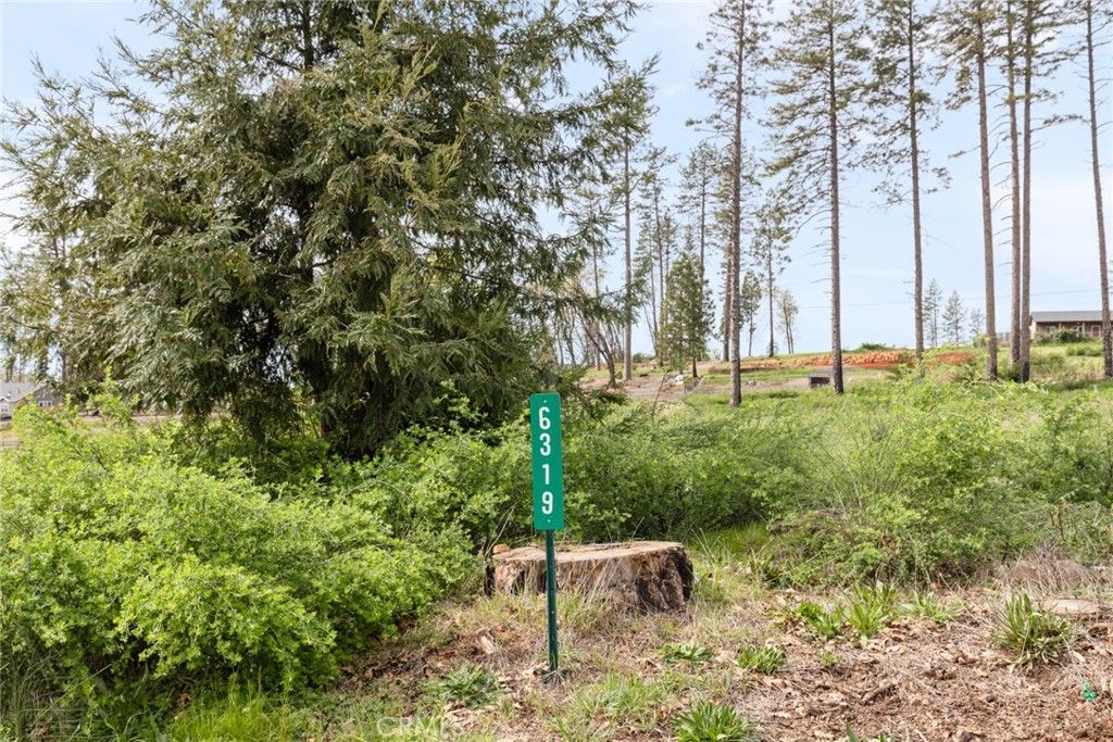 Image 8 of property listing at 6319 Azalea Lane, Paradise, CA 95969
