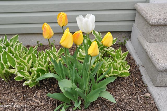 28845 Starlight Road, Perrysburg, OH 43551