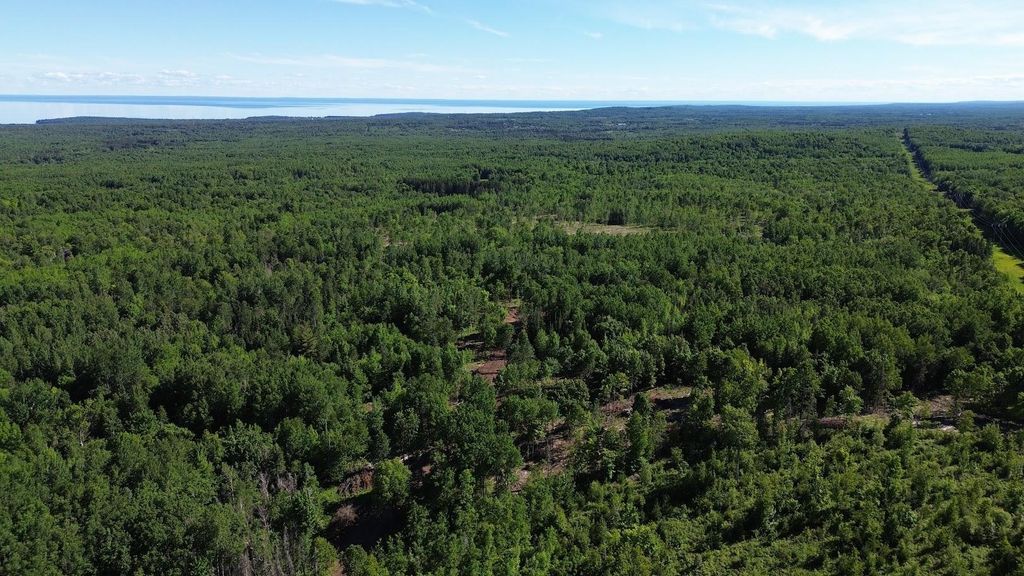12XX Reeves Road, Two Harbors, MN 55616 — photo 5