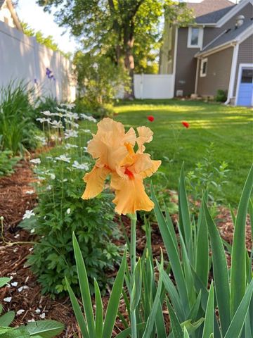 1619 Hayden Avenue, Altoona, WI 54720