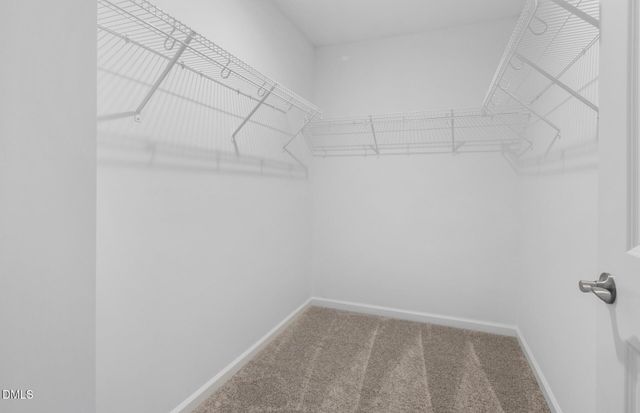 3017 Hammer Creek Road, Durham, NC 27704