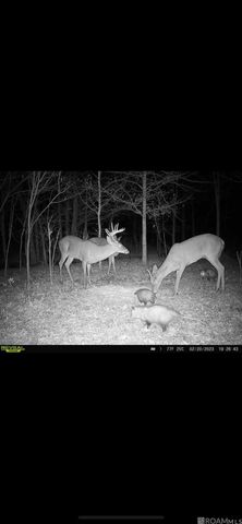 Richard Waguespack Rd, Gonzales, LA 70737