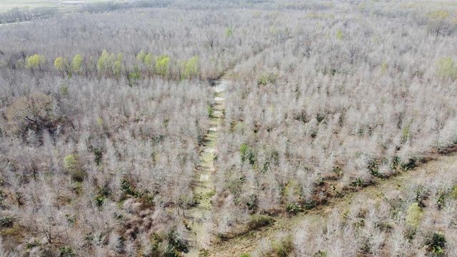 Richard Waguespack Rd, Gonzales, LA 70737