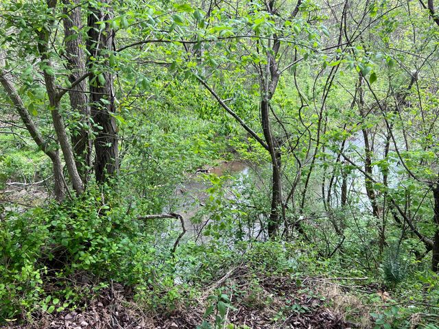 4900 E Kentucky 904, Williamsburg, KY 40769