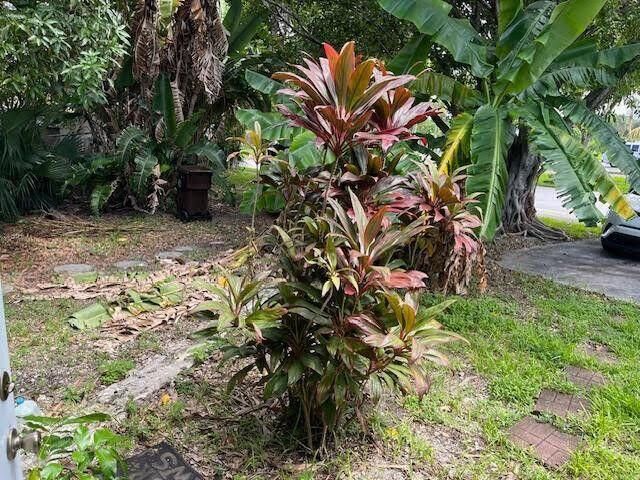 2025 Delphia Street, West Palm Beach, FL 33401