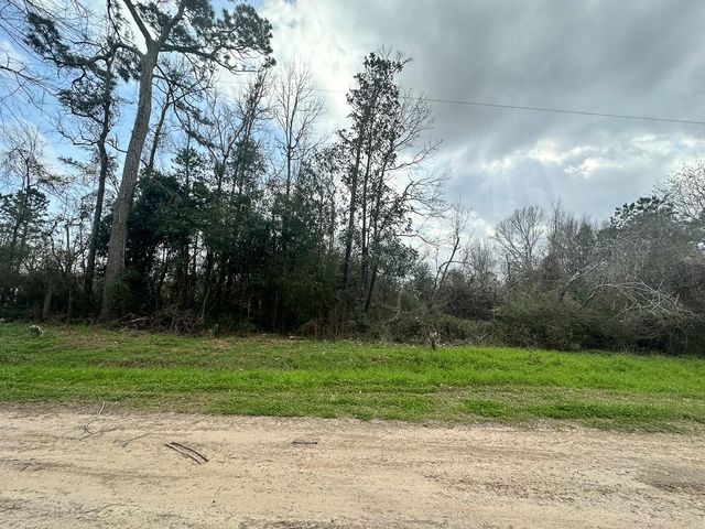 0 Redbud Drive, Conroe, TX 77302