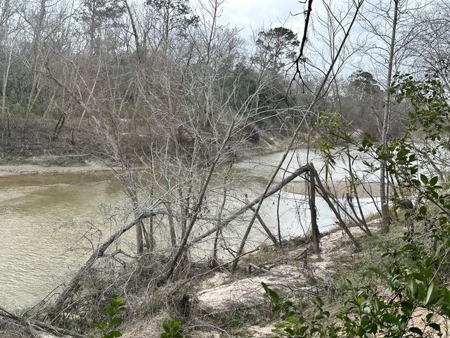 0 Redbud Drive, Conroe, TX 77302