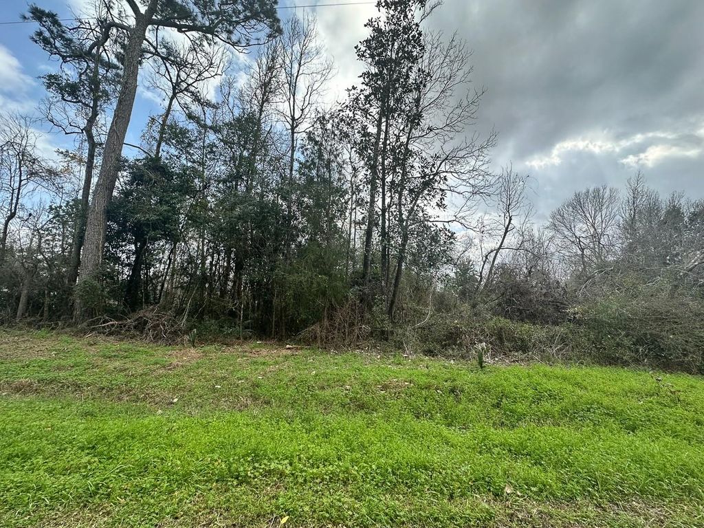 0 Redbud Drive, Conroe, TX 77302