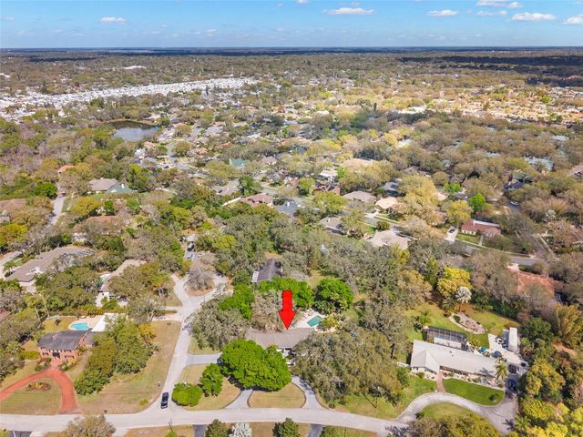 11 BIRDIE LANE, Palm Harbor, FL 34683