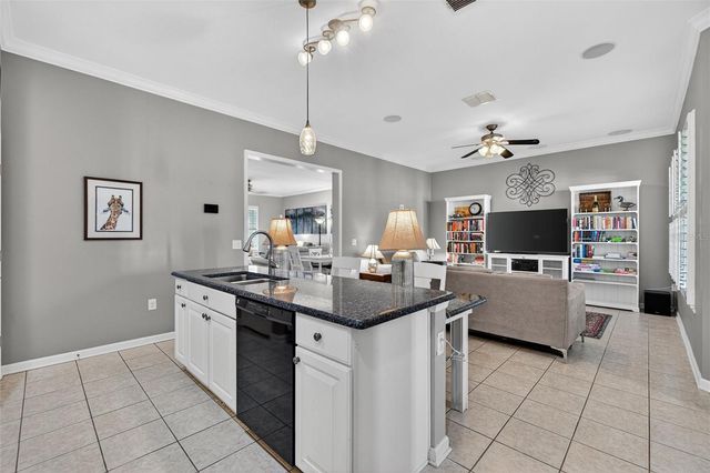 1336 FLAGSTONE AVENUE, Celebration, FL 34747