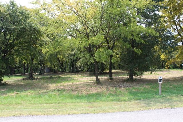 317 Cedar Creek Landing Lane, Mabank, TX 75143