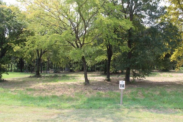 317 Cedar Creek Landing Lane, Mabank, TX 75143