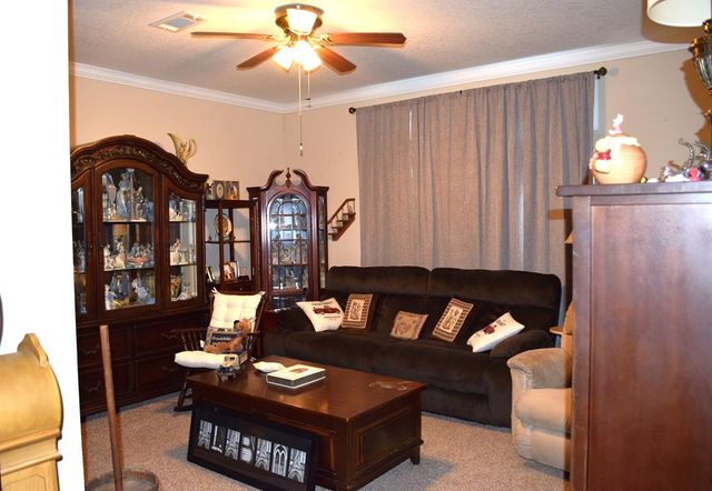 7252 S County Rd 49, Slocomb, AL 36375