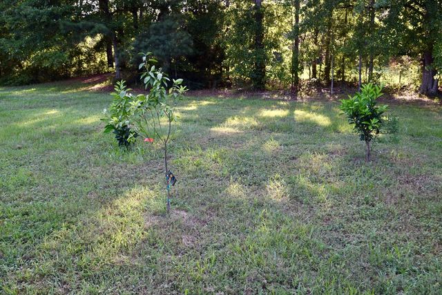 7252 S County Rd 49, Slocomb, AL 36375