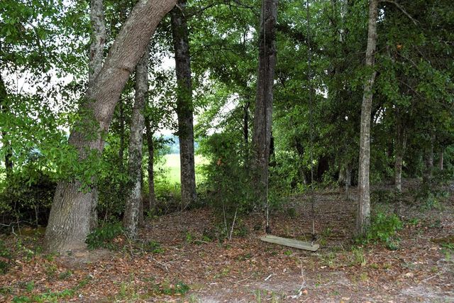 7252 S County Rd 49, Slocomb, AL 36375
