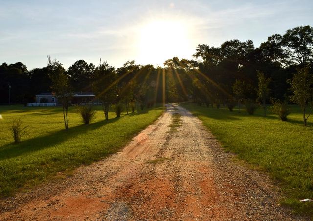 7252 S County Rd 49, Slocomb, AL 36375