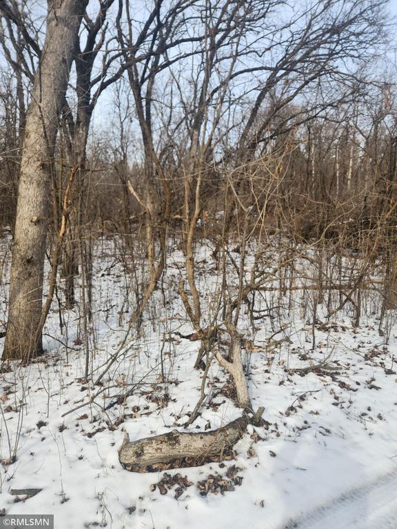 18290 Clayton Avenue, Hastings, MN 55033 — photo 2