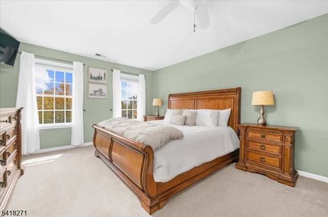 9 Hartley Ct, Alexandria Twp., NJ 08848