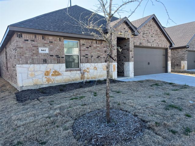 807 Cinnabar Way, Princeton, TX 75407