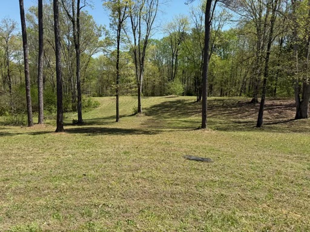 534 Whitney Branch Rd, Springville, TN 38256