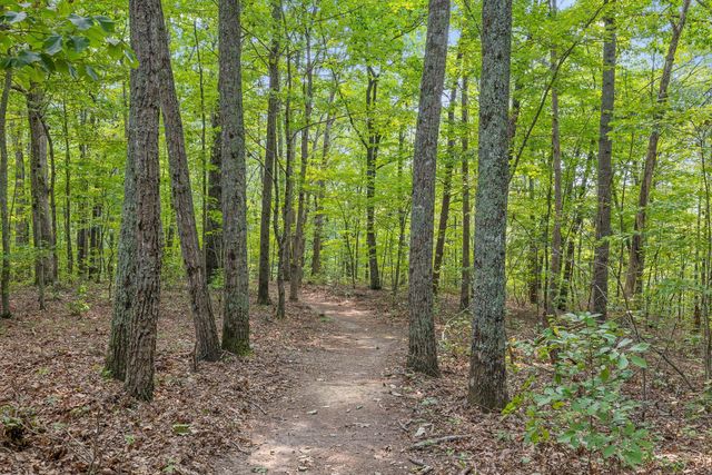 2598 Bristlecone Lane, Signal Mountain, TN 37377