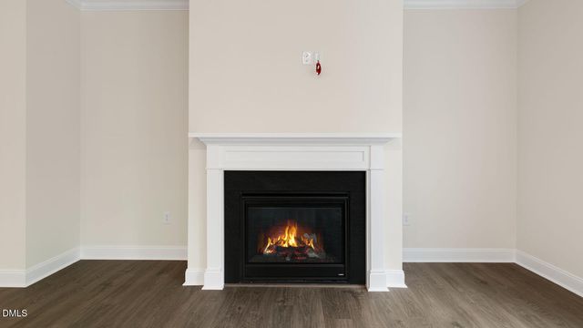 30 East Fire Opal Court, Clayton, NC 27520