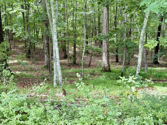 0 Crowder Rd, Lawrenceburg, TN 38464