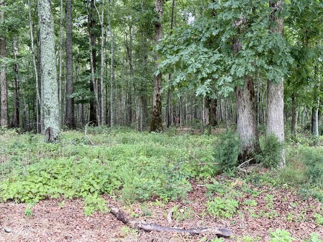 0 Crowder Rd, Lawrenceburg, TN 38464