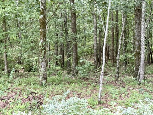 0 Crowder Rd, Lawrenceburg, TN 38464