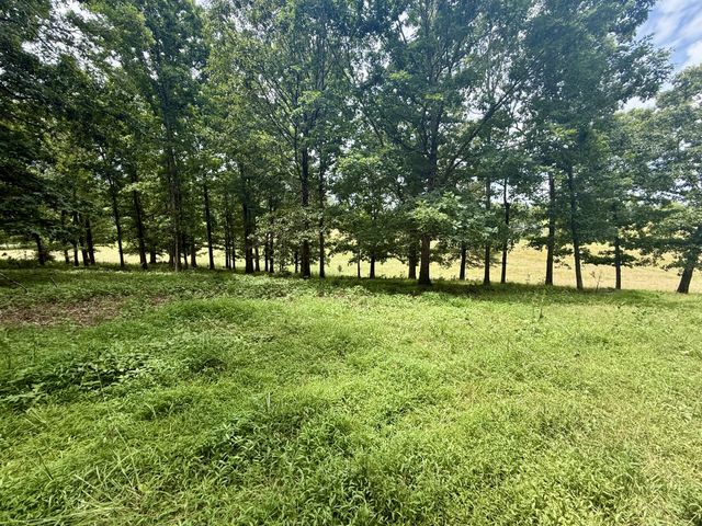 0 Crowder Rd, Lawrenceburg, TN 38464