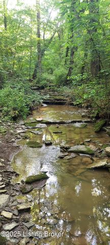 969 John Henry Rd, Taylorsville, KY 40071