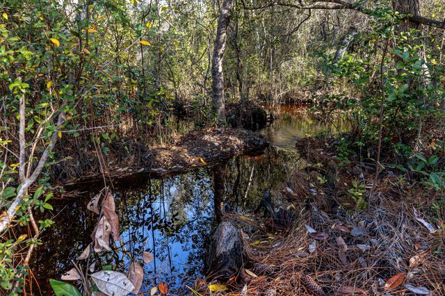 59 Chelsey Lane, Santa Rosa Beach, FL 32459