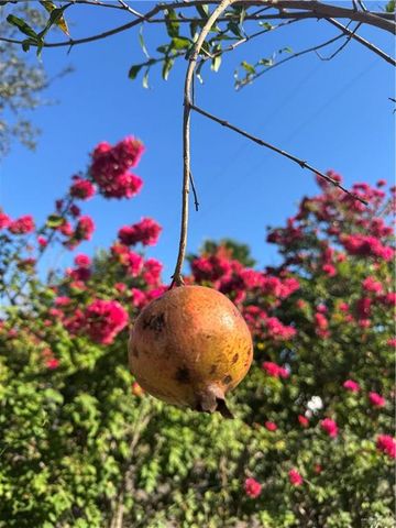 1001 W 7th Street, Weslaco, TX 78596