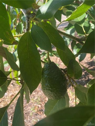 1001 W 7th Street, Weslaco, TX 78596