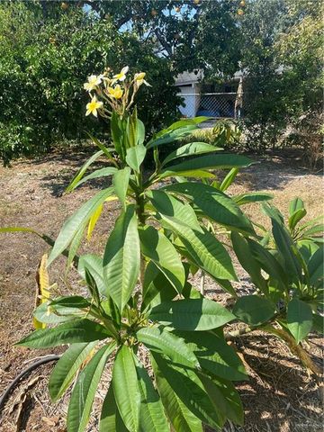 1001 W 7th Street, Weslaco, TX 78596