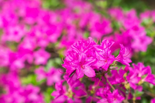 3169 Glenview Drive, Aiken, SC 29803