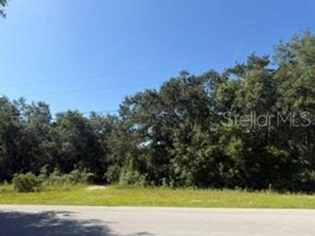 TBD SE 59TH PLACE, Ocklawaha, FL 32179