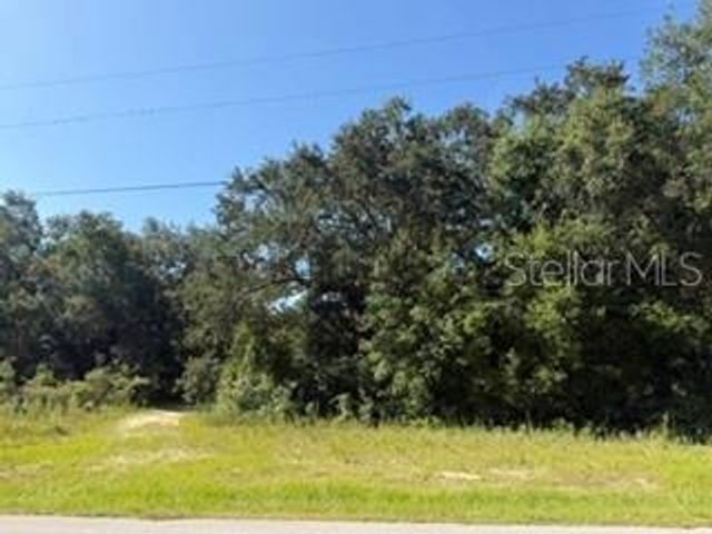 TBD SE 59TH PLACE, Ocklawaha, FL 32179